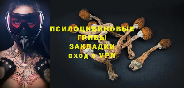 сатива Беломорск