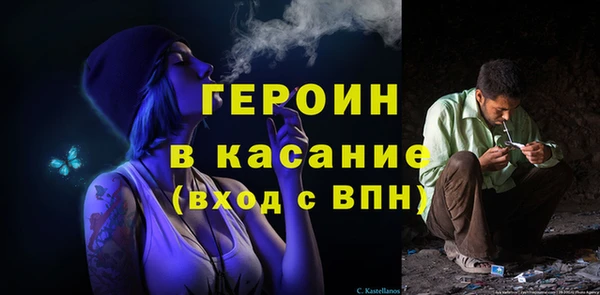 сатива Беломорск