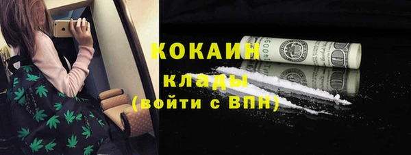 хмурый Белокуриха