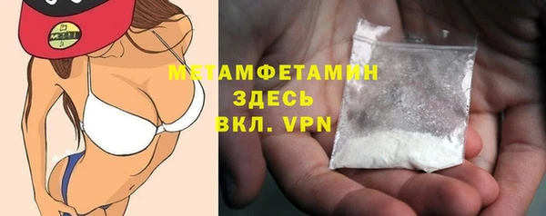 сатива Беломорск
