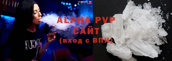 сатива Беломорск