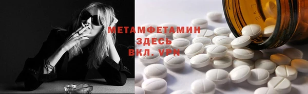 сатива Беломорск