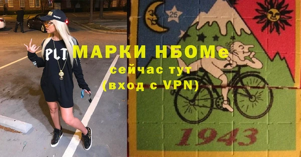 хмурый Белокуриха