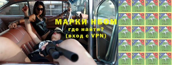 сатива Беломорск