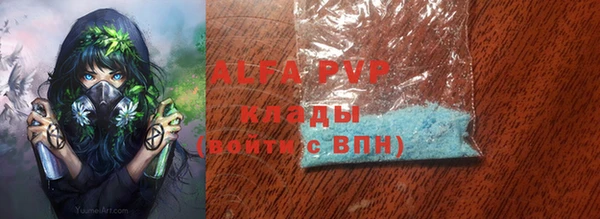 хмурый Белокуриха