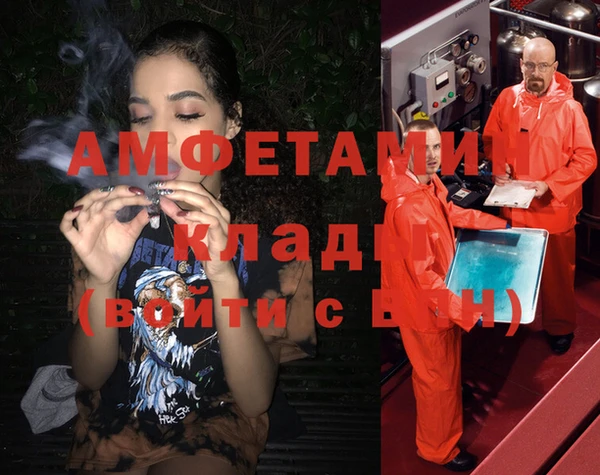 сатива Беломорск