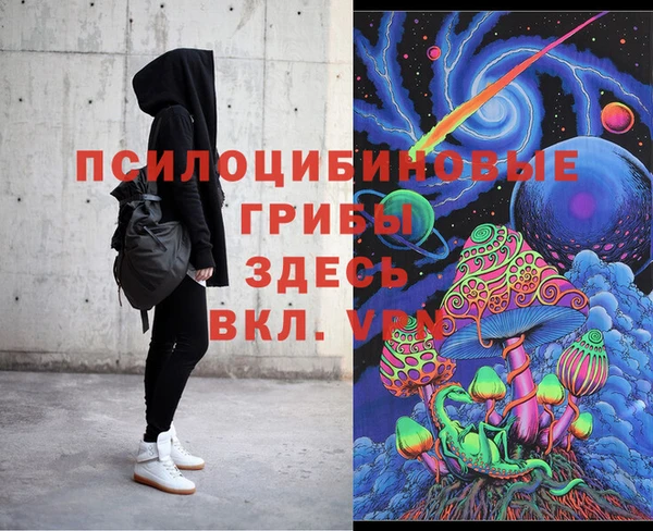 хмурый Белокуриха